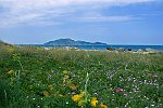 9 DSC_0041  r   